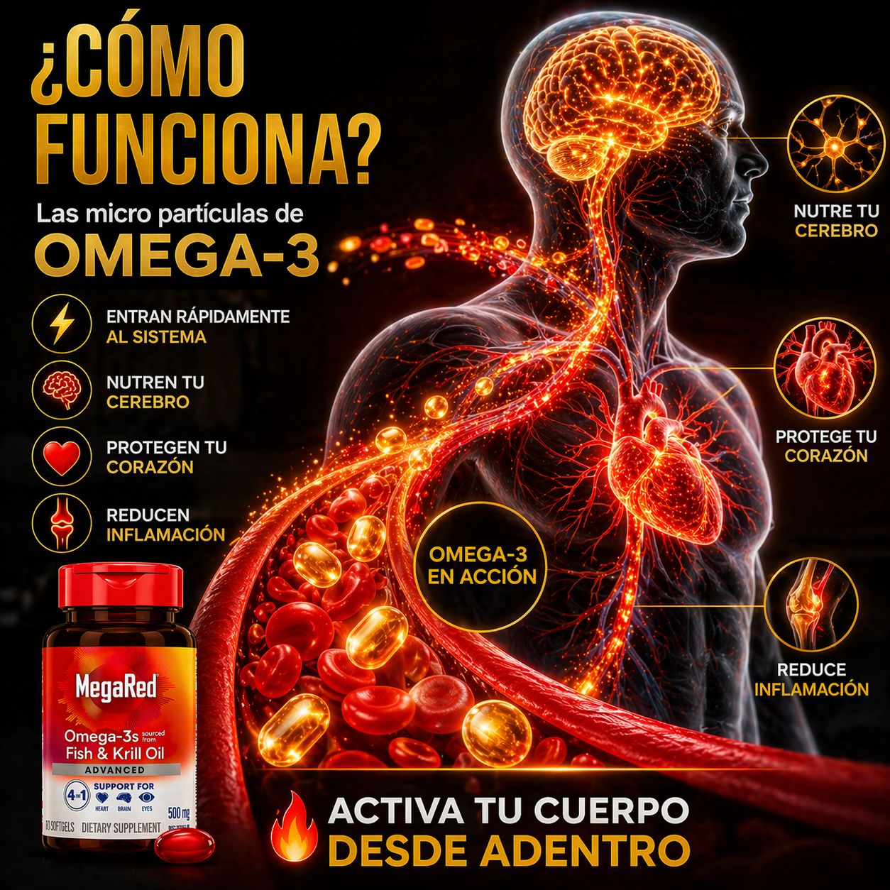 De Cansado a Imparable 🔥 MegaRed Omega-3 que Activa tu Cuerpo desde Adentro